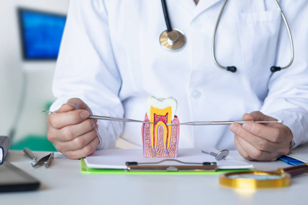 Best Emergency Wisdom Teeth Removal in Withamsville, OH